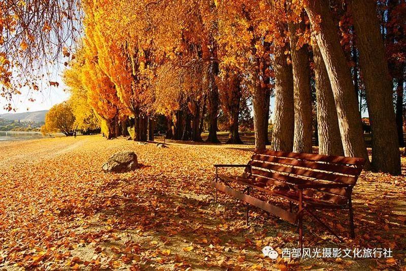 塑料瓶装能用来装茶水吗？游戏画面