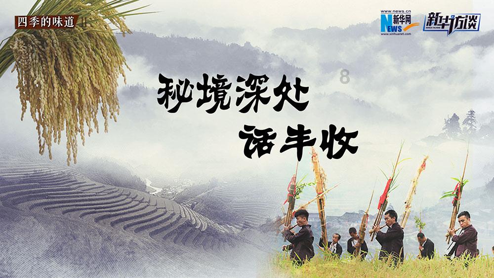 纪实:美女把追求者当备胎,4部14pro都是别人送的:他们都是自愿的