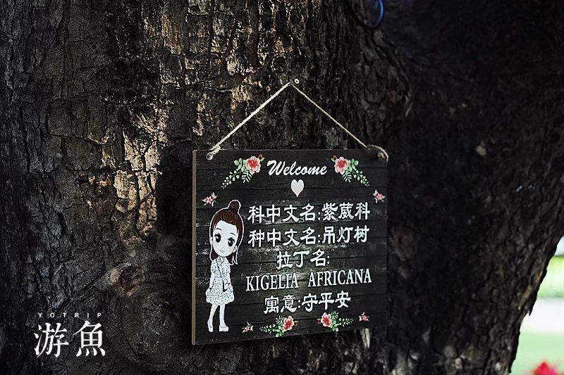 数字计算游戏