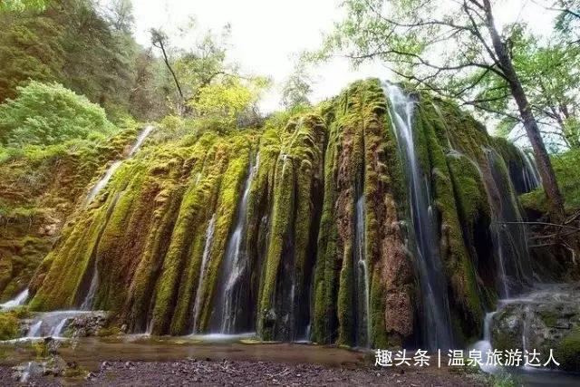 陈幸同落选世乒赛有2原因，玩手机不道歉，莎莎陈梦大迪将战奥运