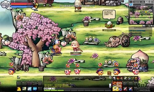 植物大战僵尸17