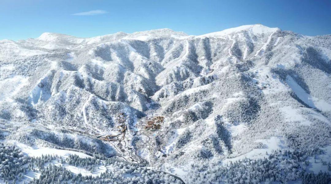 青岛一商场内,男子突然倒地昏迷,9位护士一起施救,这算“肌肉记忆”吗?-机智问答,解答你的疑惑!
