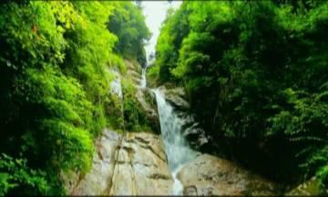 勇闯精灵大陆4