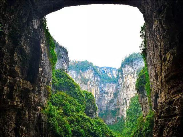 全民剧本大师内置菜单