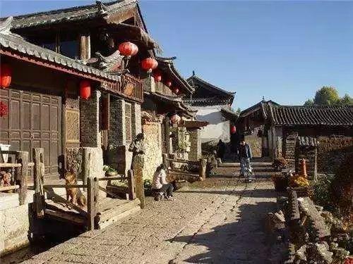 逃离橡子树种植地