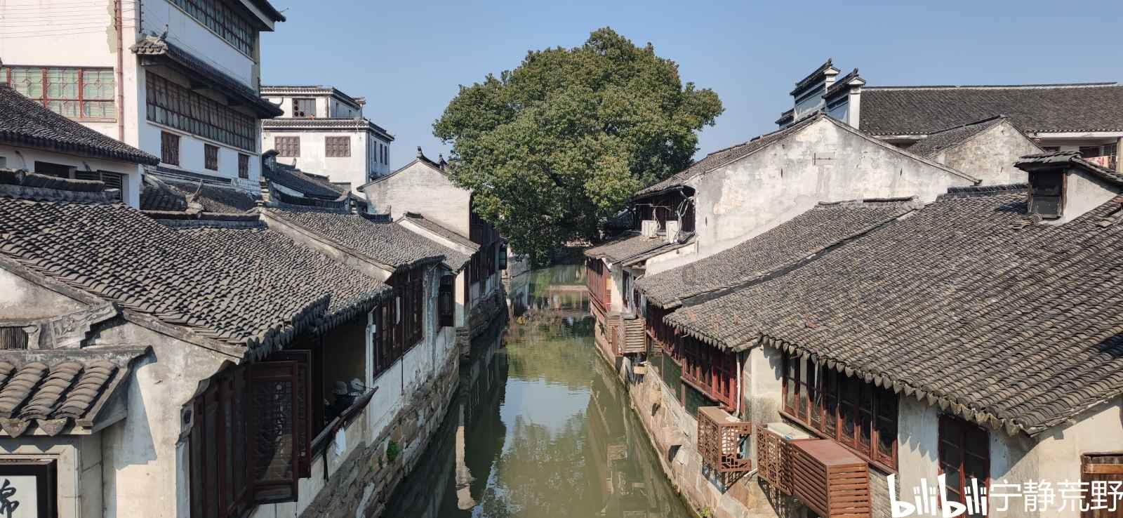 网友怕奶奶孤单,送给她只萨摩耶,半个月再去看时:白瞎这条狗了