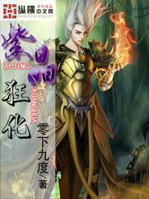 打呀么打飞机